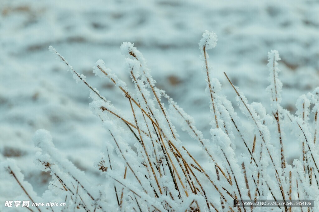 雪景  