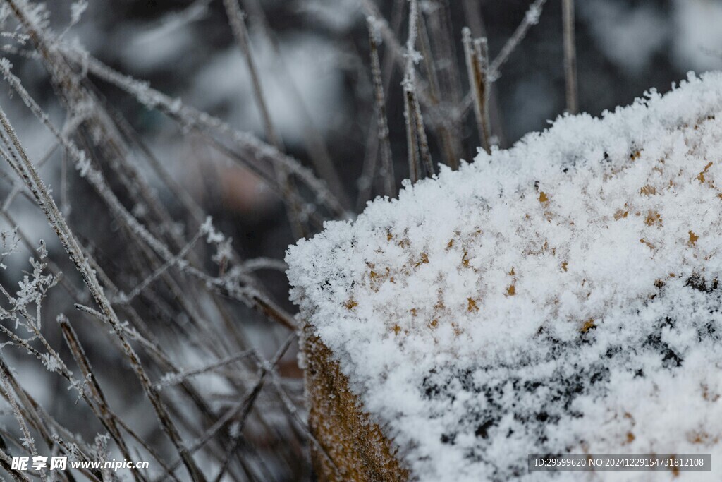 雪景  
