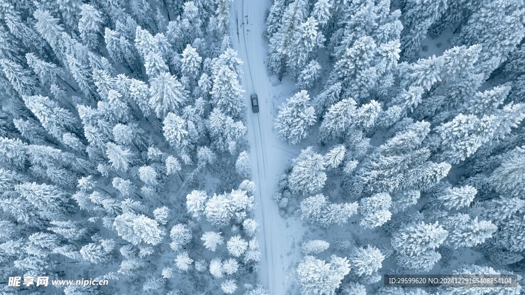  雪景  