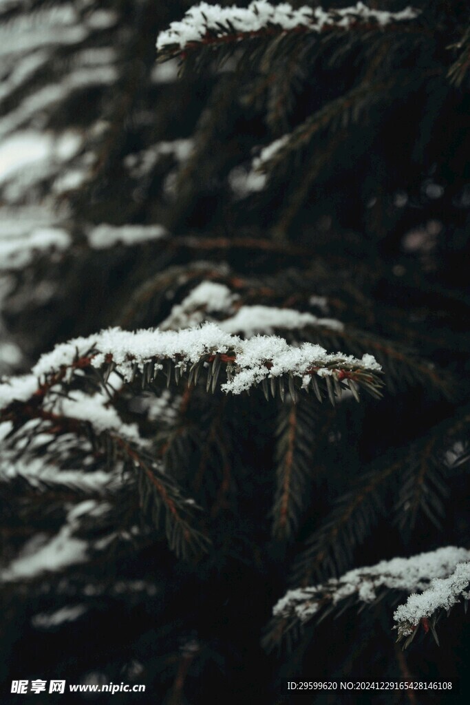 雪景 