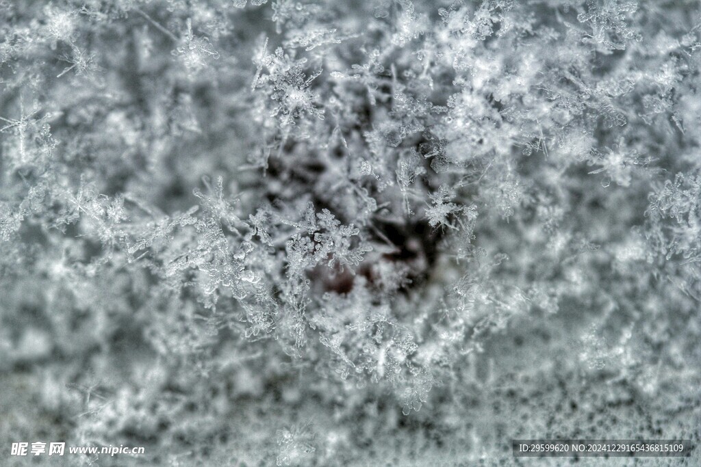 雪 