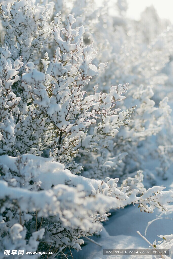 雪景 