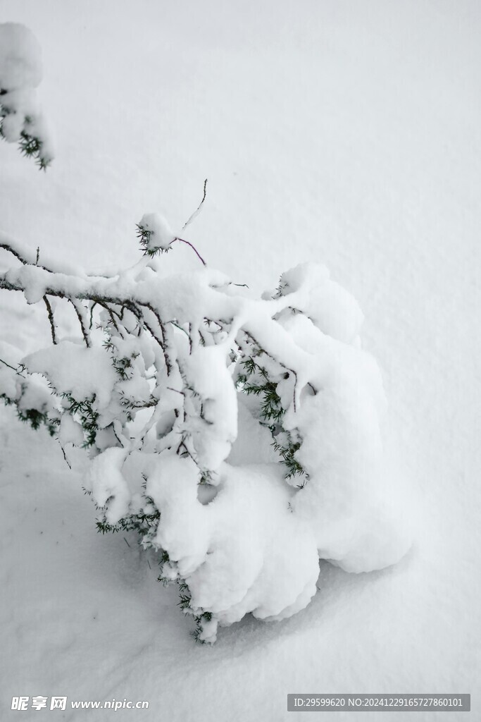  雪景 