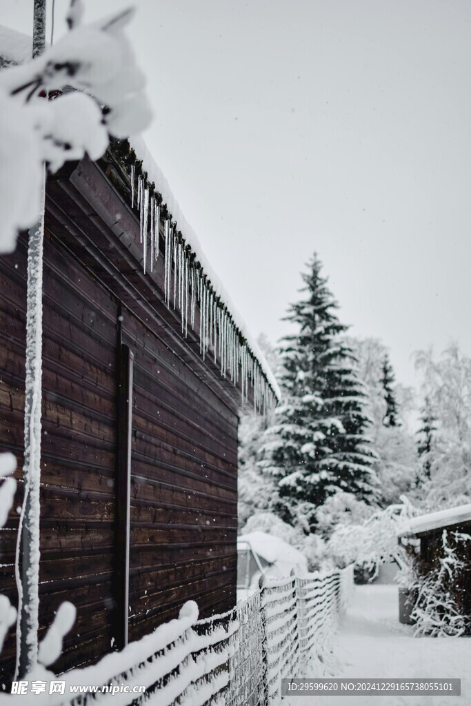  雪景  