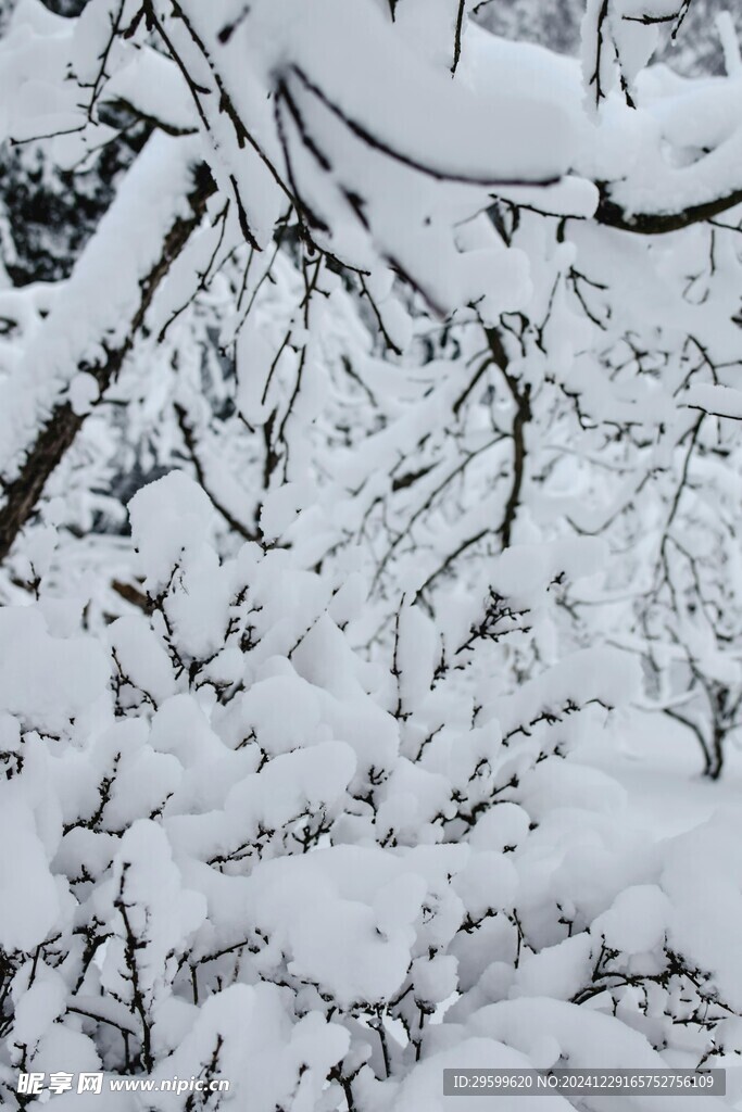  雪景  