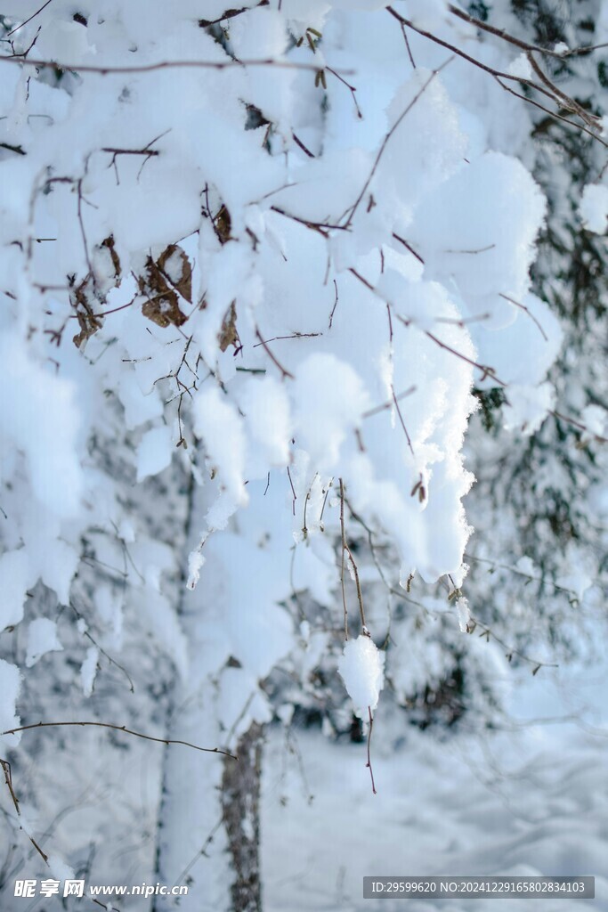  雪景  