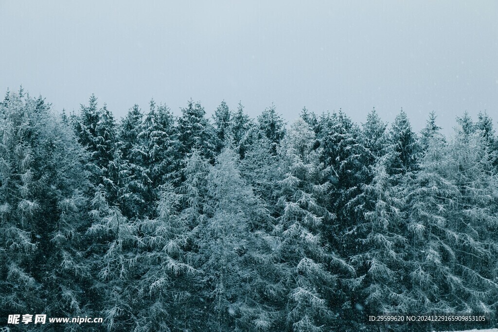 雪景  