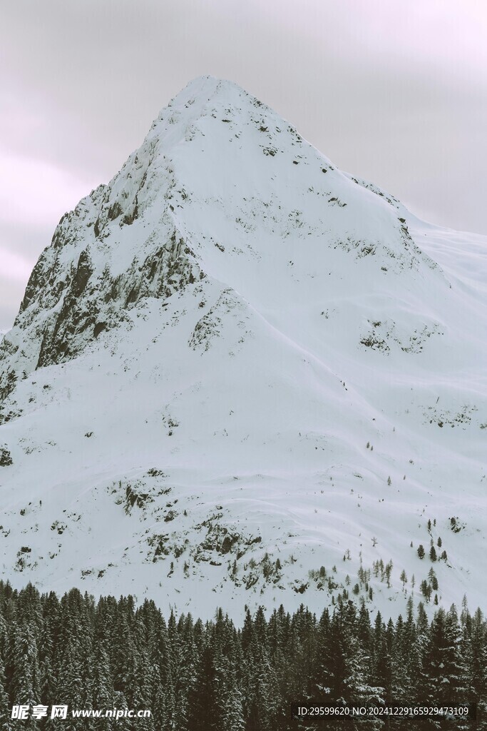 雪景  