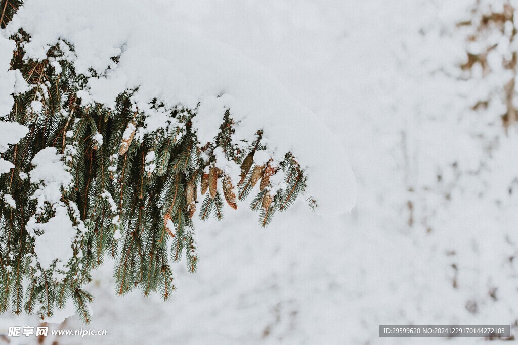 雪景 