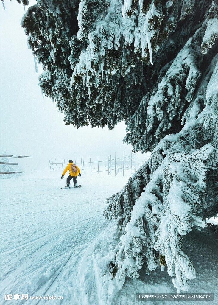  雪景 