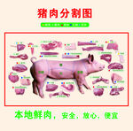 猪肉分割图