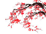 水墨梅花