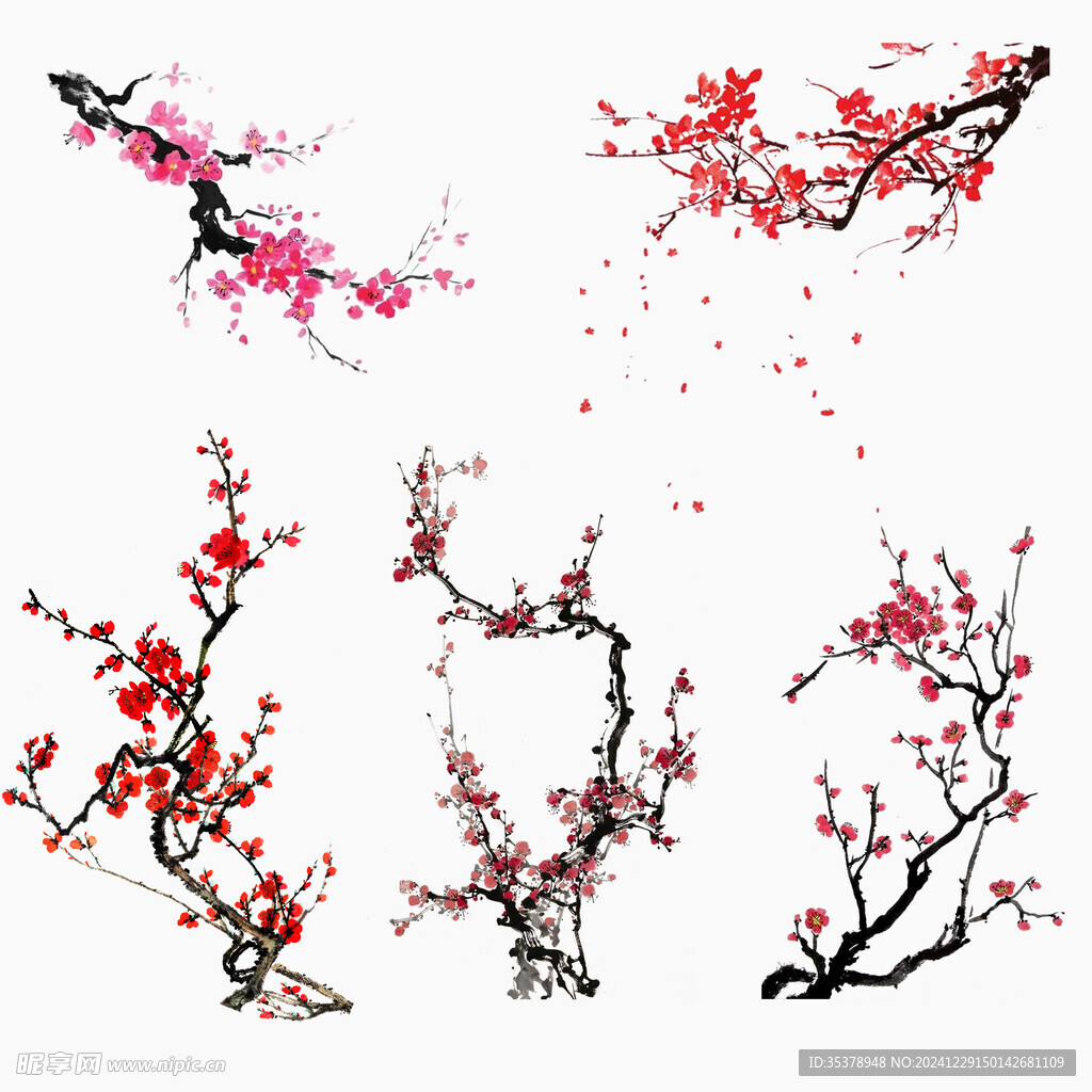 梅花手绘素材