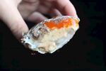 清蒸红膏蟹
