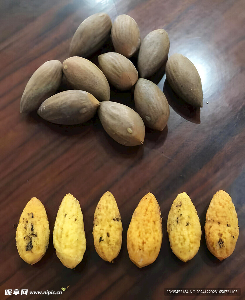 香榧