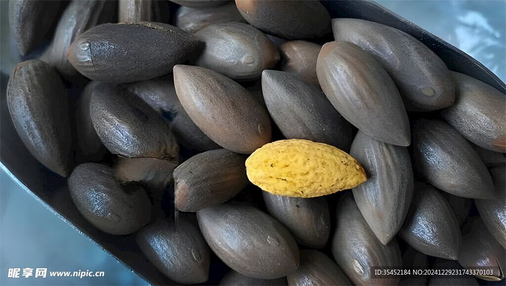 香榧