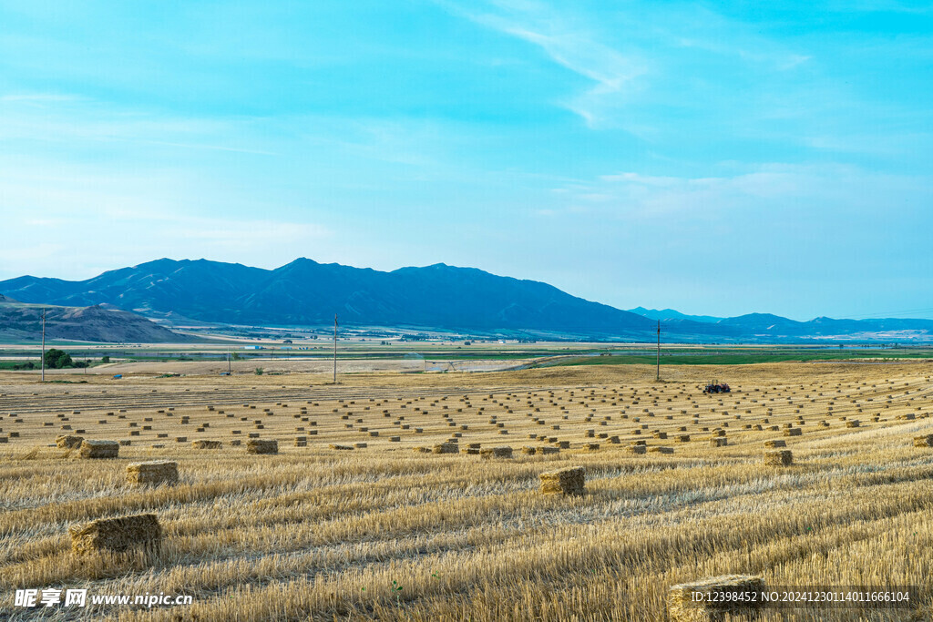 草原