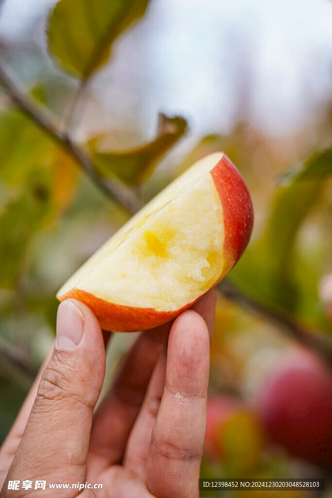 苹果