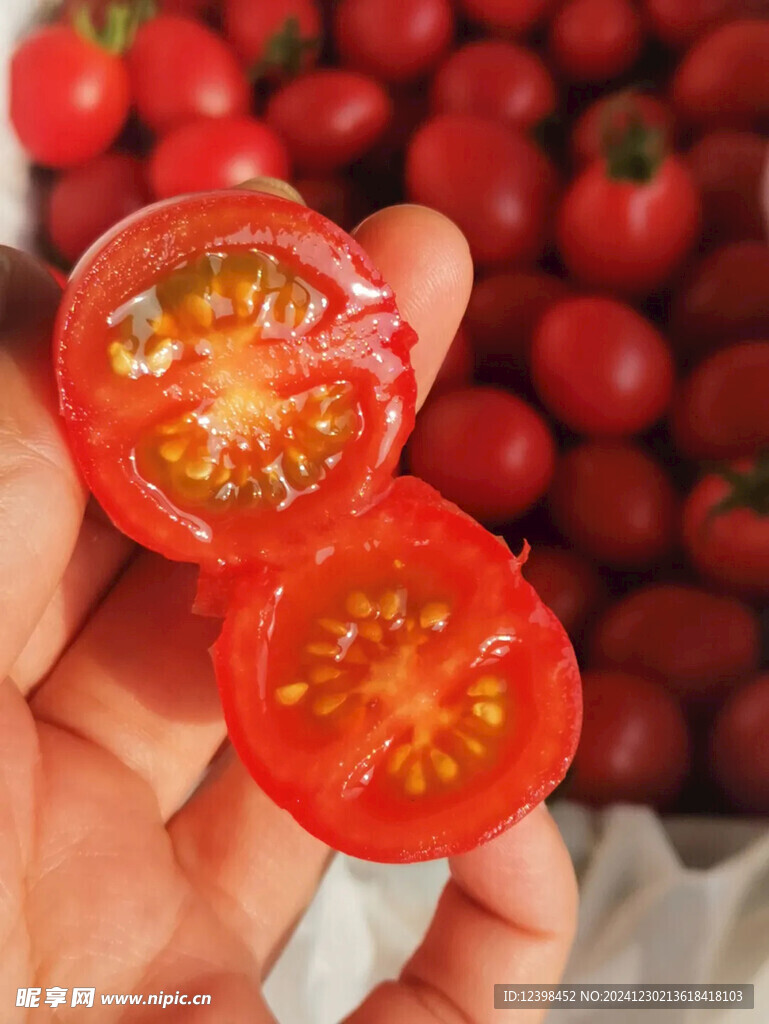 千禧小番茄