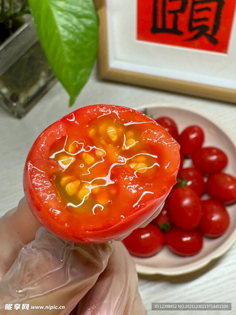 千禧小番茄