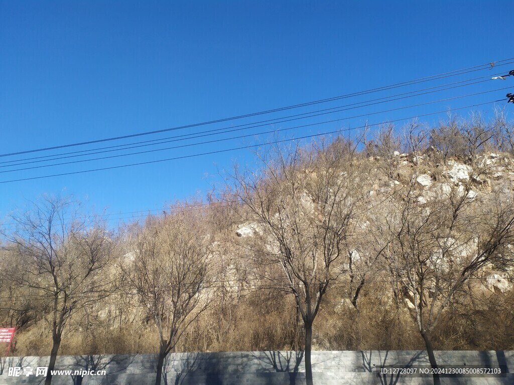 风景