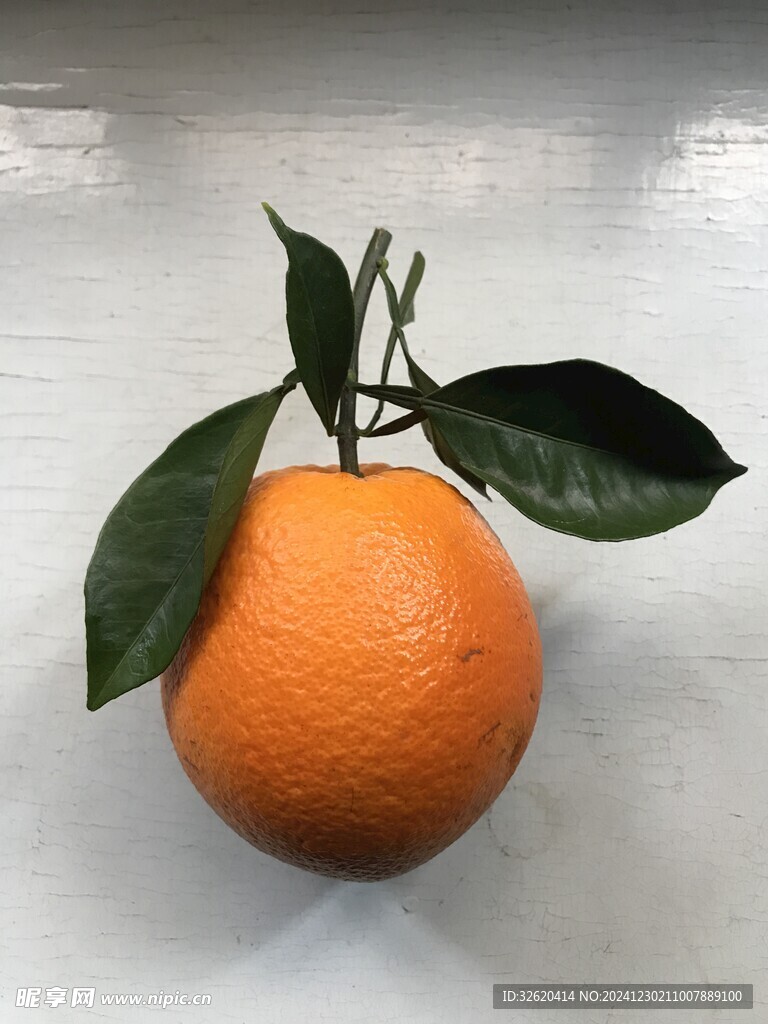 橙子 脐橙
