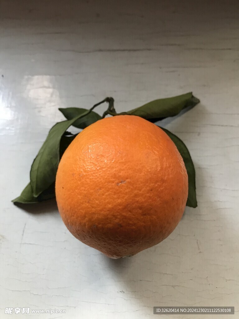 橙子 脐橙