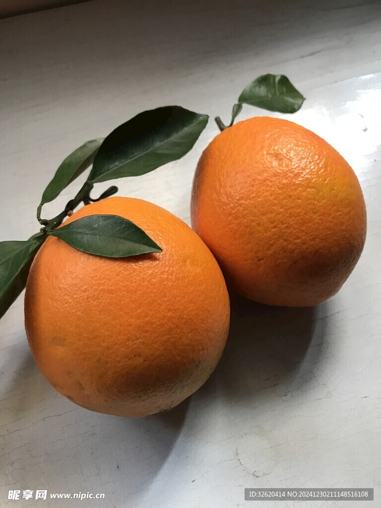 橙子 脐橙 