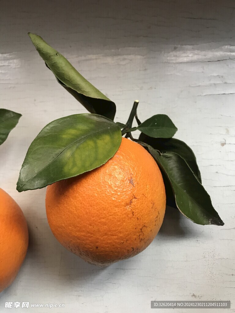 橙子 脐橙 