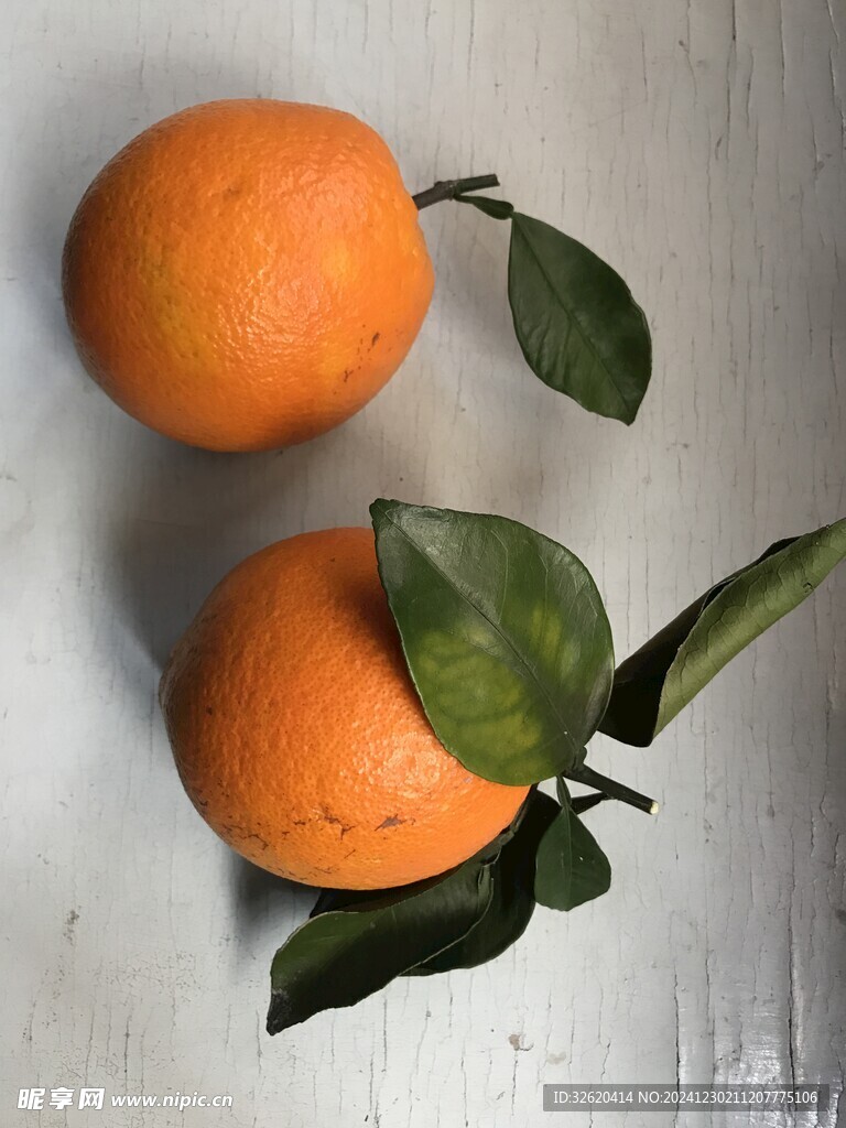 橙子 脐橙 