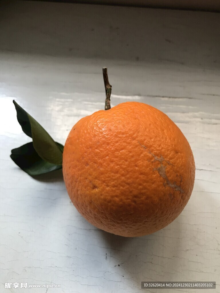 橙子 脐橙 