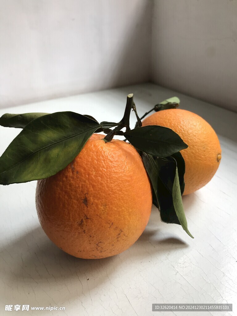 橙子 脐橙 