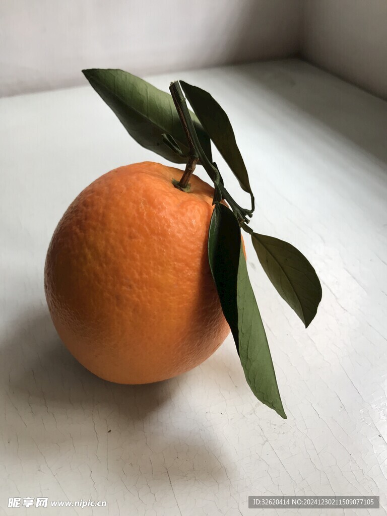 橙子 脐橙 