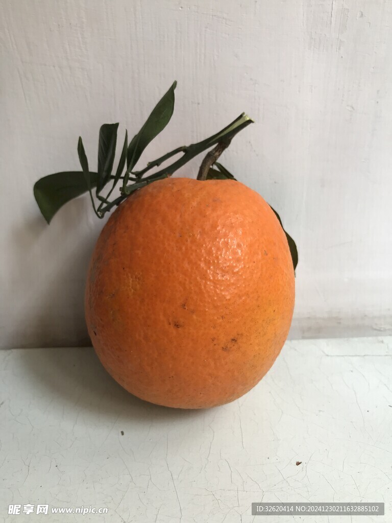 橙子 脐橙 