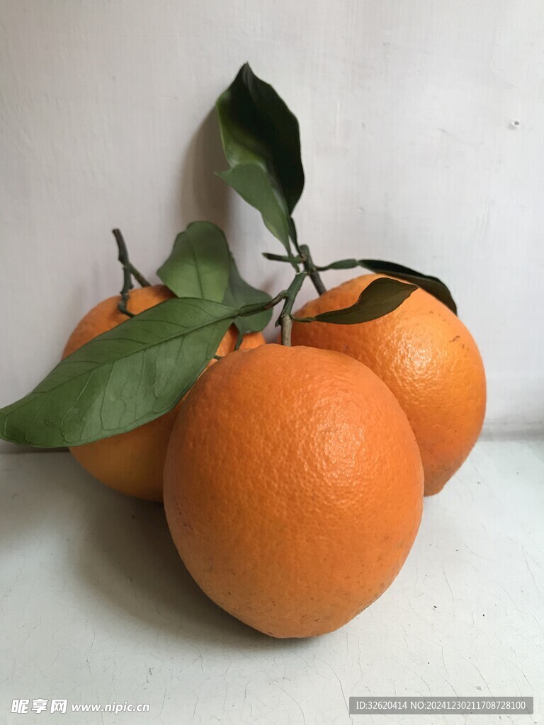 橙子 脐橙 