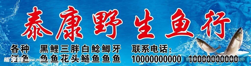 野生鱼行