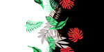 定位花 