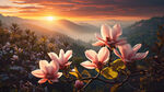 玉兰花  太阳光  简洁  风景