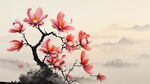 玉兰花  太阳光  简洁  风景