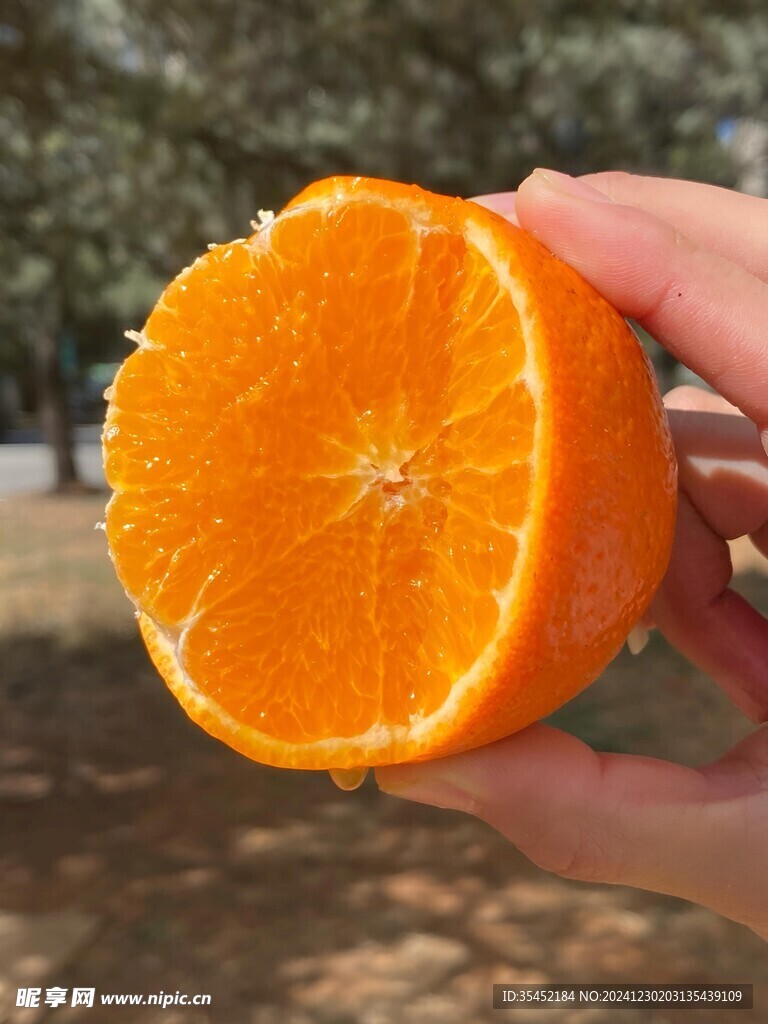 柑橘