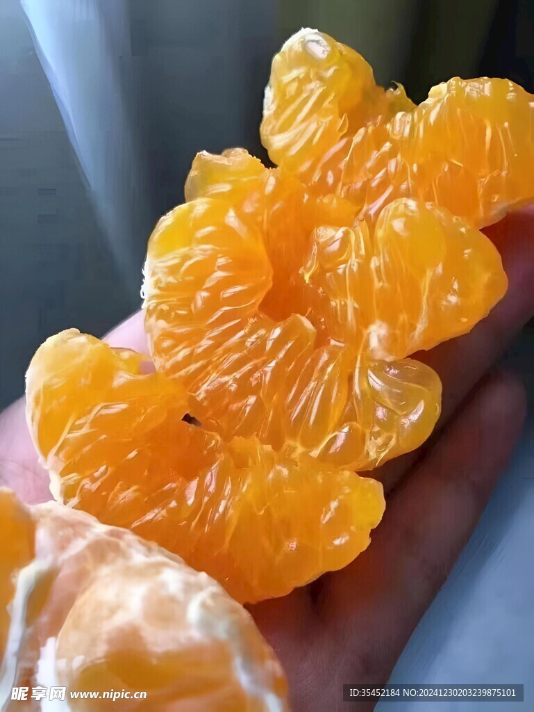 柑橘