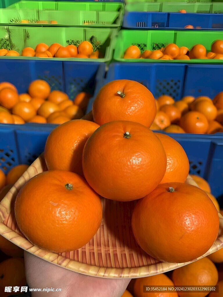 柑橘