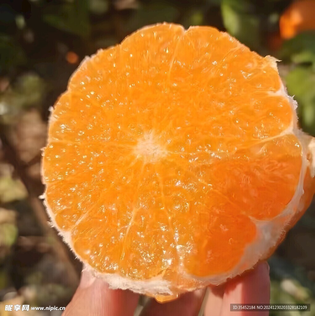 柑橘