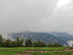 蔚县茶山