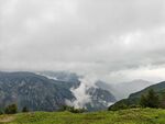 蔚县茶山