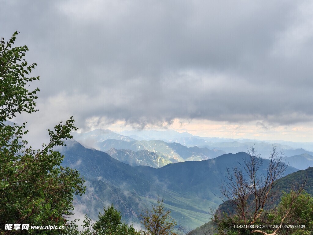 蔚县茶山