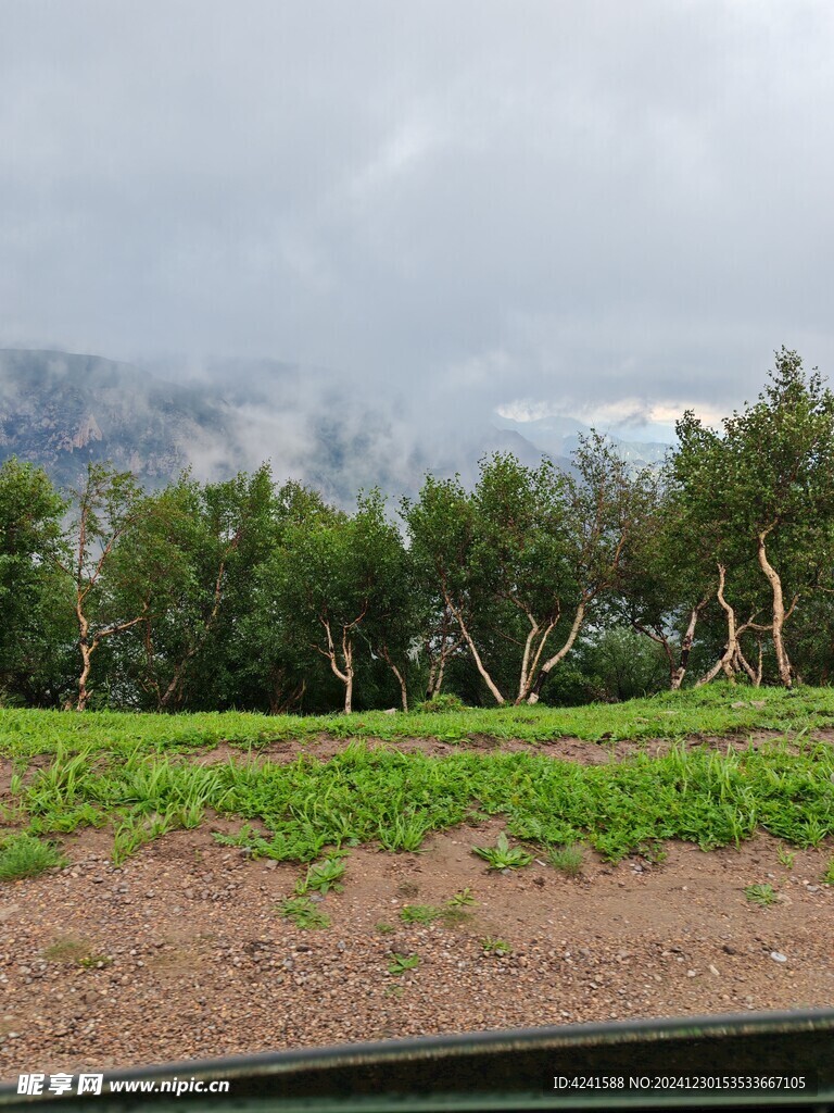 蔚县茶山