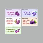 葡萄园标语挂牌吊旗