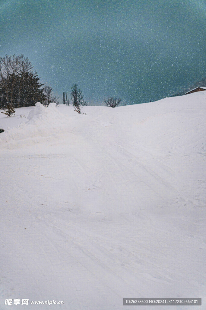 雪地摄影