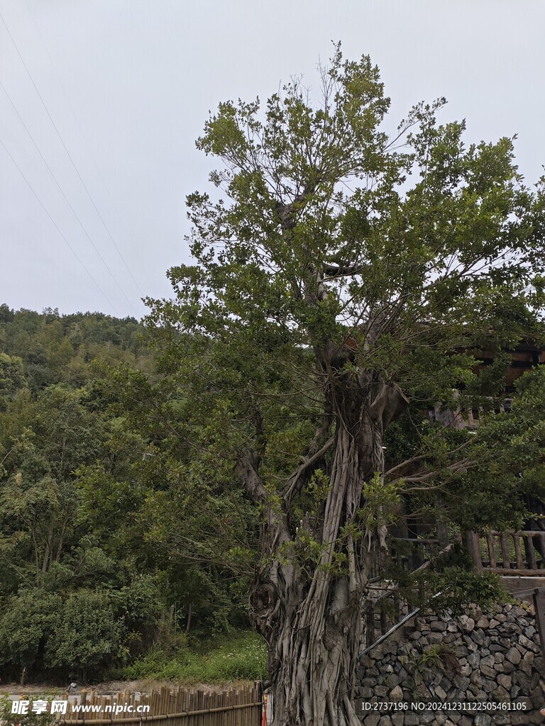 瑶山古寨